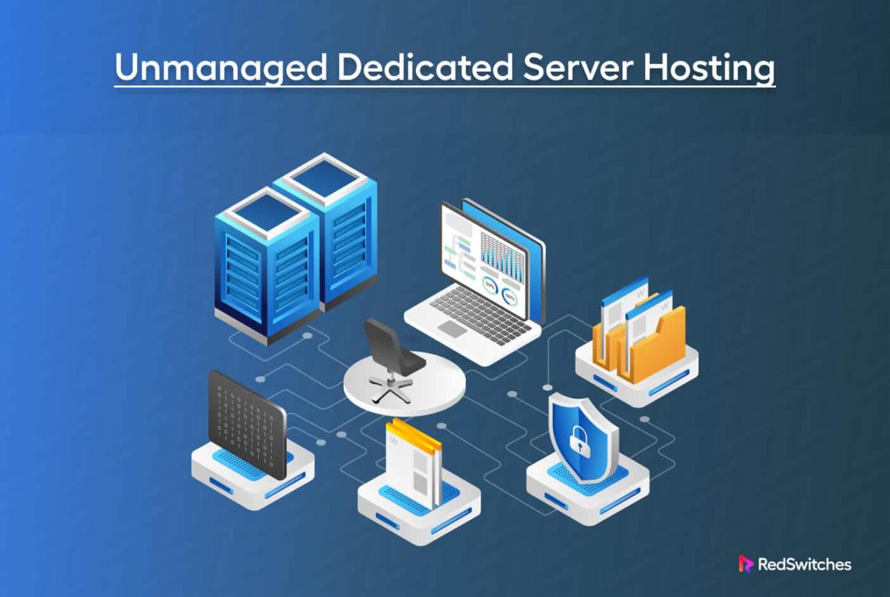 Unmanaged dedicated server