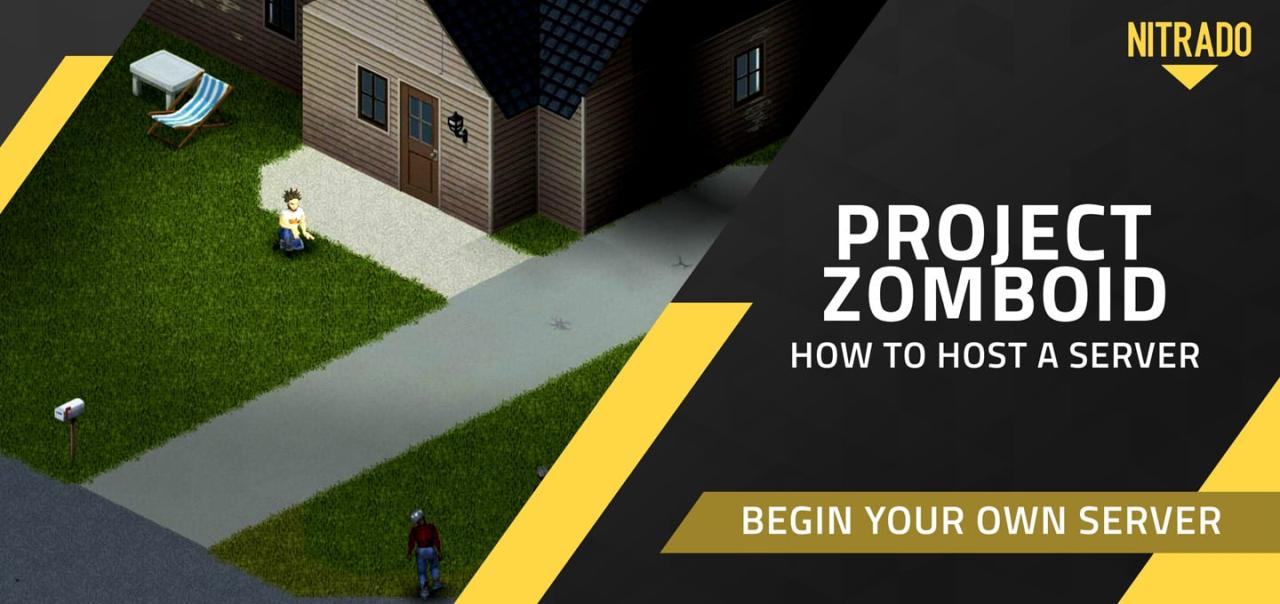 Project zomboid server hosting