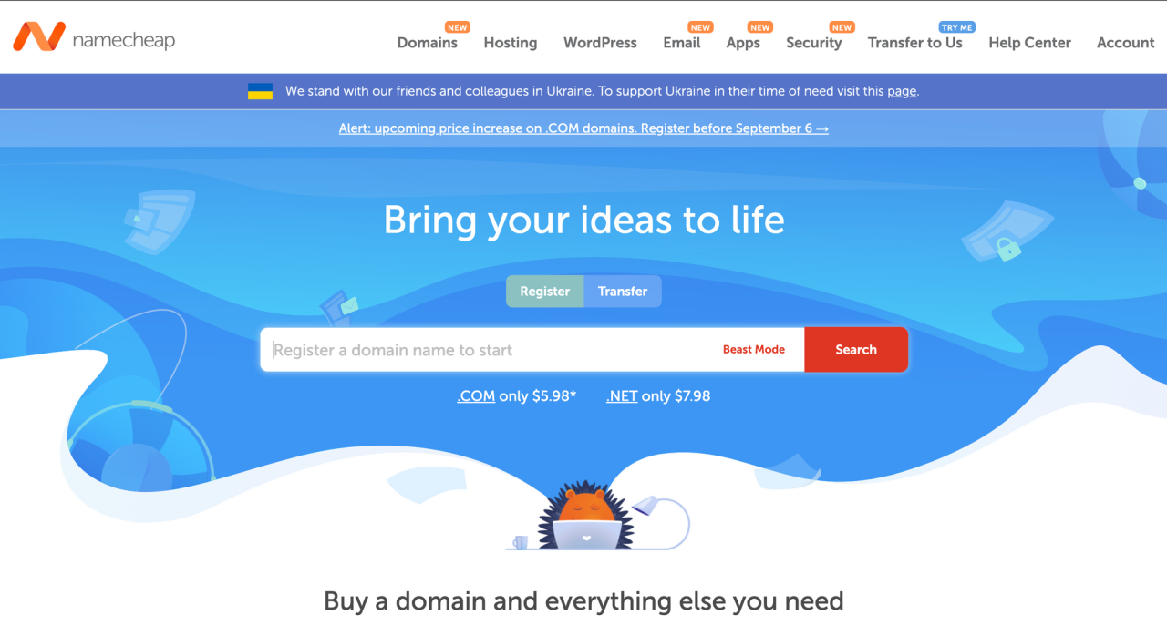 Find domain hosting provider