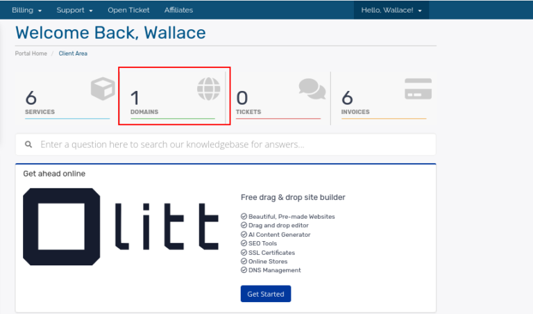 Truehost domain