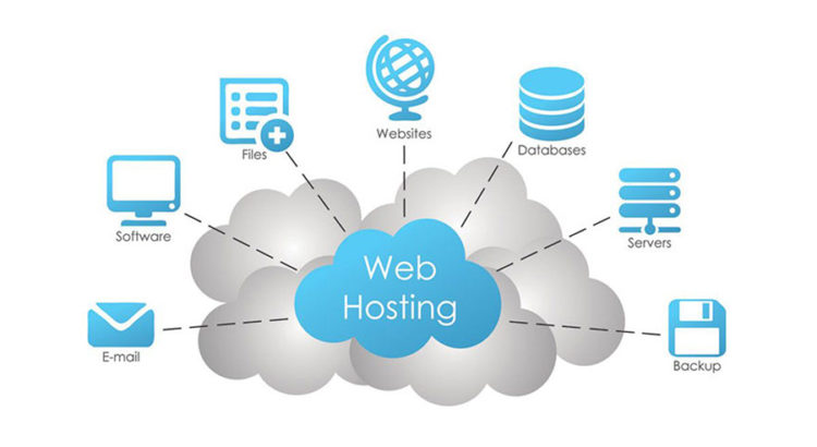 Professional web hosting