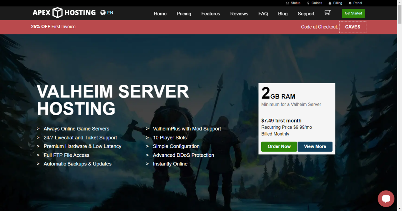 Valheim server hosting