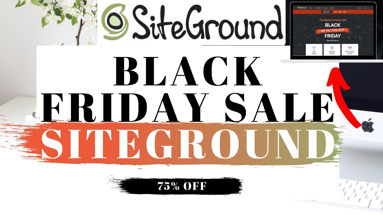 Siteground black friday